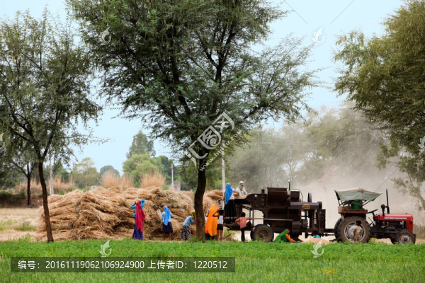 印度州農(nóng)村婦女在農(nóng)業(yè)上的收獲－以拉賈斯坦州為例