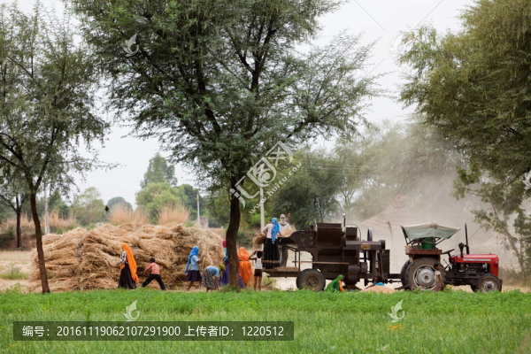 印度州農(nóng)村婦女在農(nóng)業(yè)上的收獲－以拉賈斯坦州為例