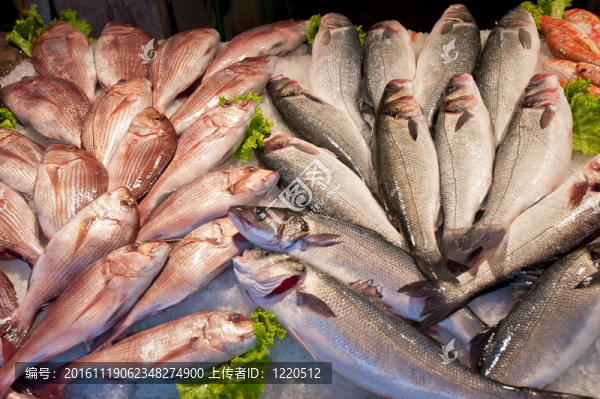魚市場(chǎng)上的新鮮魚