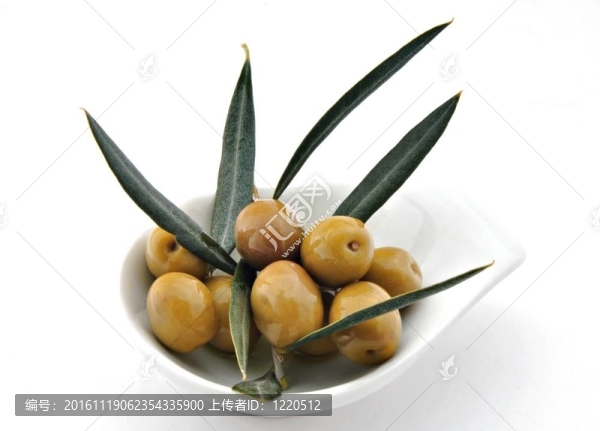 橄欖葉