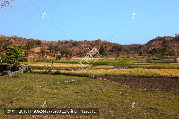 拉賈斯坦農(nóng)村