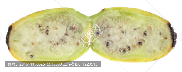 成熟的刺梨仙人掌科的水果