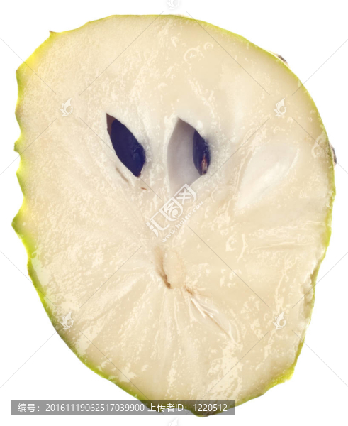 蛋奶凍荔枝果實(shí)