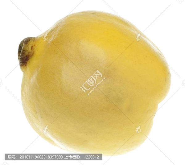 木瓜果實中分離