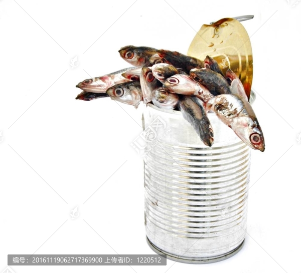 幾個(gè)鳳尾魚