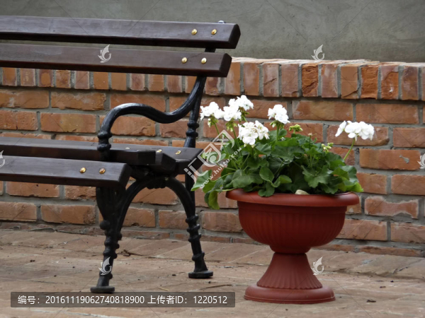 板凳和Flowers