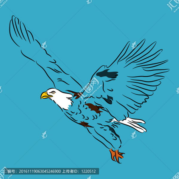 飛行中的禿頭鷹-匯圖網(wǎng) www.fosd68.com 飛行中的禿頭鷹