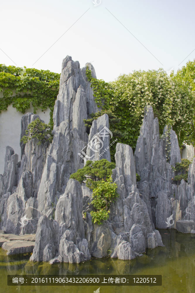 亞洲花園中的巖石