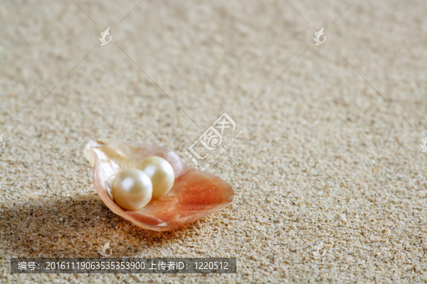 海灘白砂珍珠貝殼蚌宏