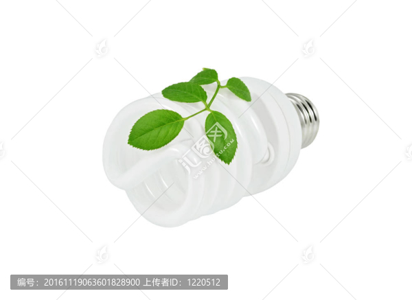 白色背景節(jié)能燈泡及植物