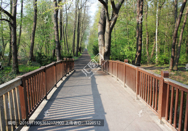 公園橋