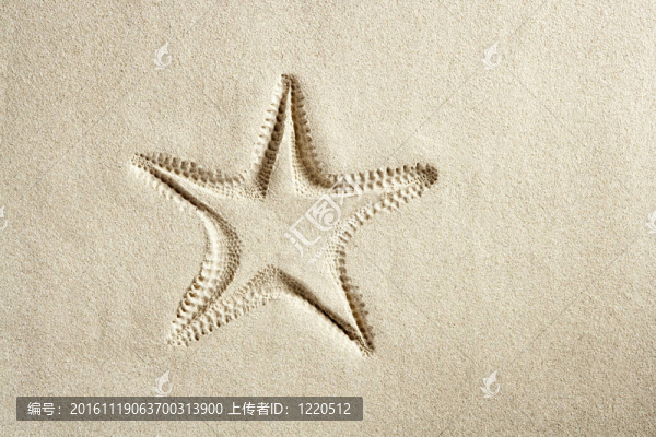 海灘海星打印白色加勒比沙夏天