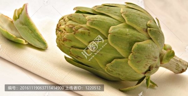 餐巾上的朝鮮薊