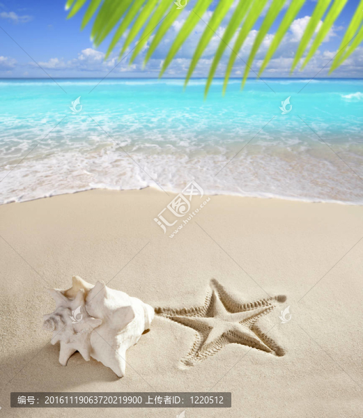 加勒比海灘海星印花貝殼白沙