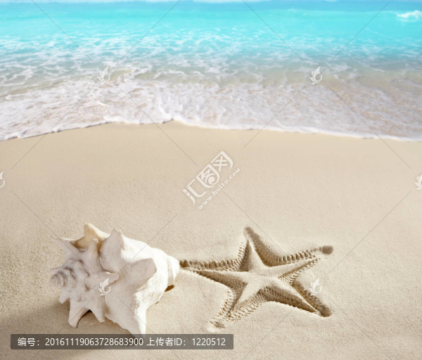 加勒比海灘海星印花貝殼白沙