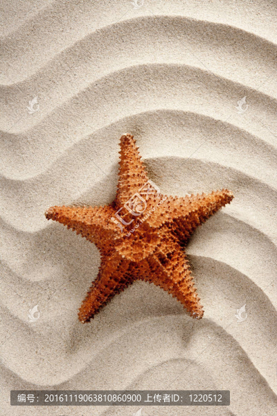 沙灘白色波浪沙灘海星暑假