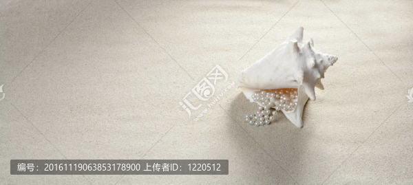 沙灘珍珠項(xiàng)鏈貝殼暑假