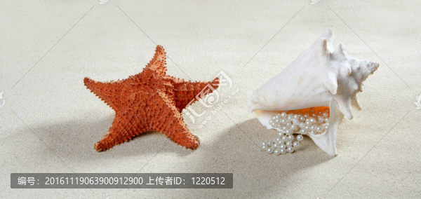 海灘沙灘珍珠項(xiàng)鏈貝殼夏季