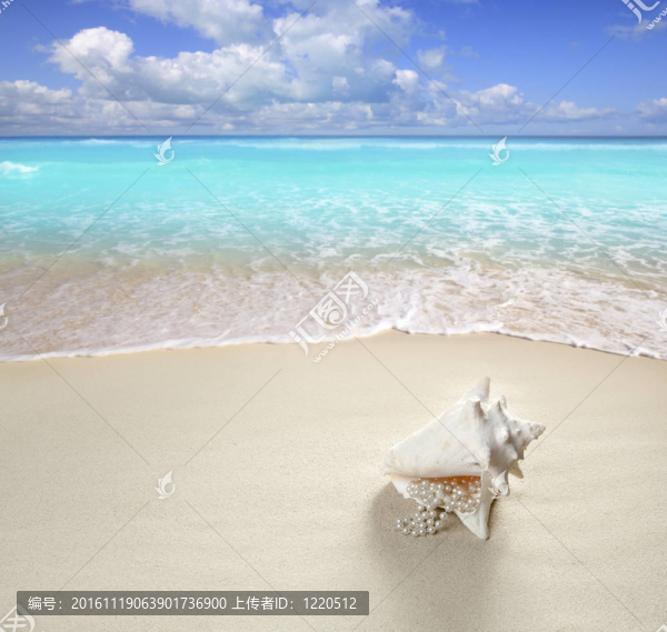 沙灘珍珠項鏈貝殼暑假