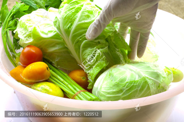 洗前有助于防止大腸桿菌