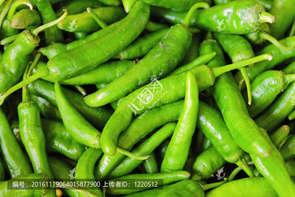 青椒