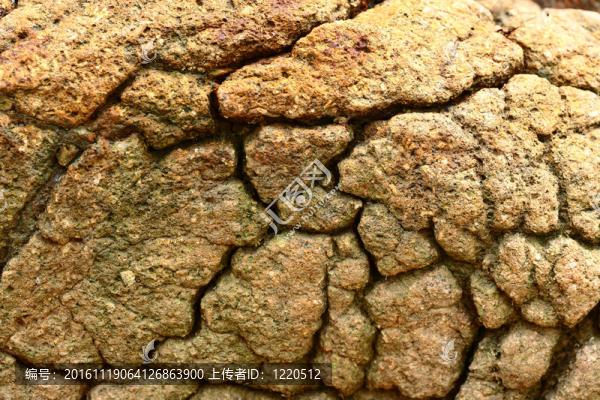 干燥和破碎的土地