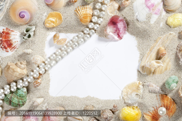 邊框框夏季海灘貝殼珍珠項鏈