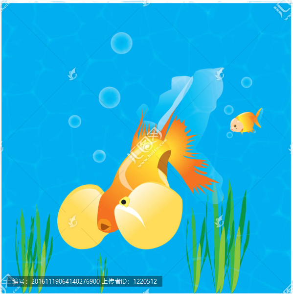 金魚在水中