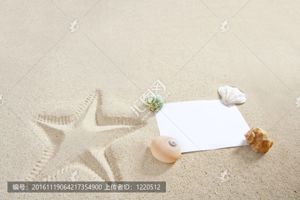 空白紙沙灘沙灘海星貝殼夏天