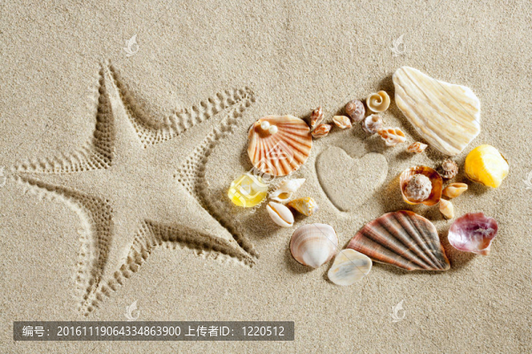 海灘白沙灘心形海星打印夏天