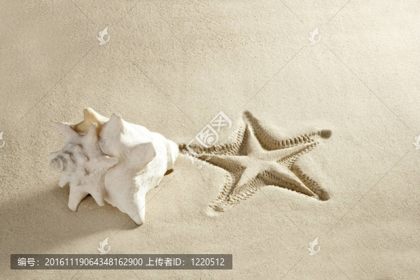 海灘海星印花貝殼白色加勒比沙