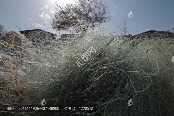 網(wǎng)