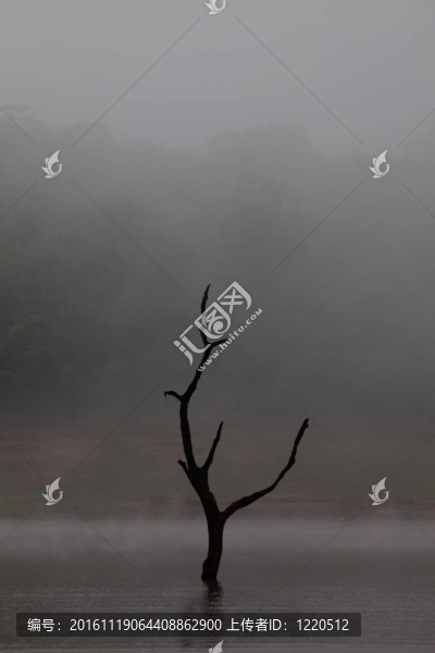 Periyar湖保護(hù)區(qū)