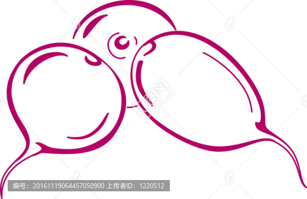 蘿卜紅；象形文字