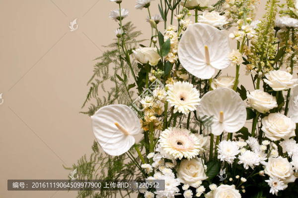 白色花束