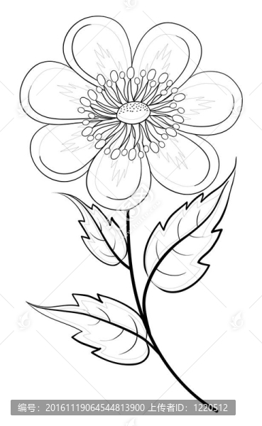 花；輪廓