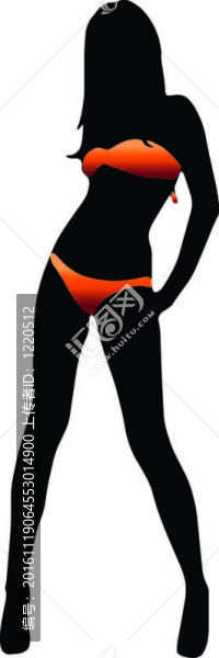 比基尼女孩剪影