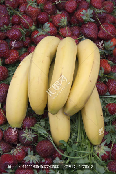 香蕉和草莓-匯圖網(wǎng) www.fosd68.com 香蕉和草莓