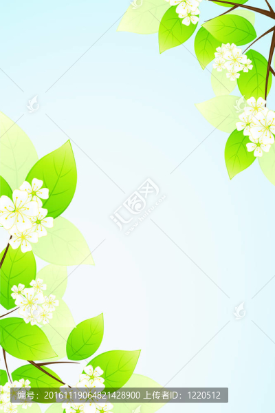 葉子和花