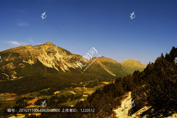 山