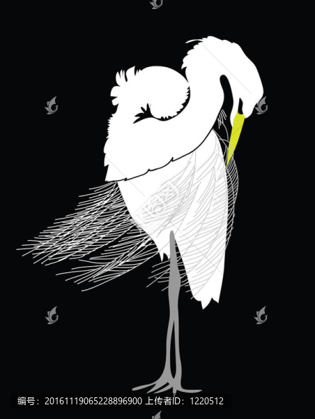 岸邊涉水鳥