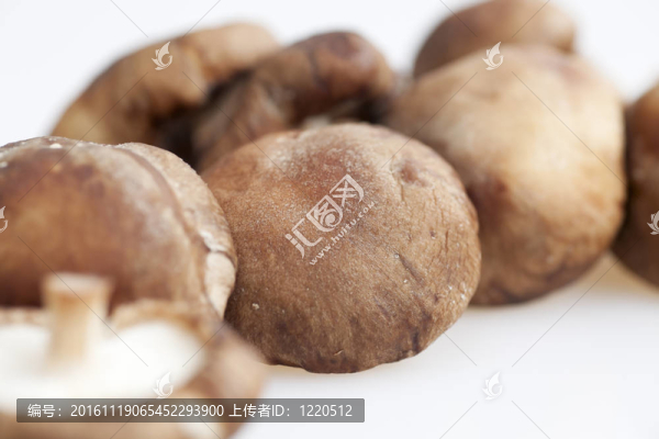 關(guān)閉了香菇
