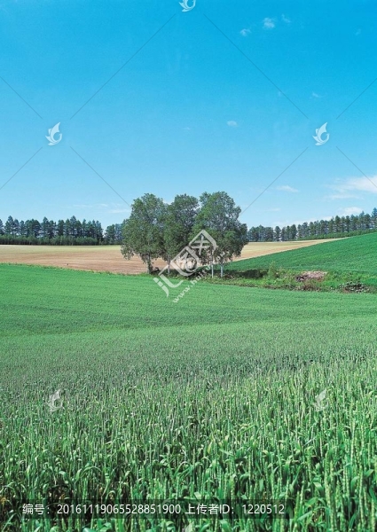 場(chǎng)景-匯圖網(wǎng) www.fosd68.com 場(chǎng)景