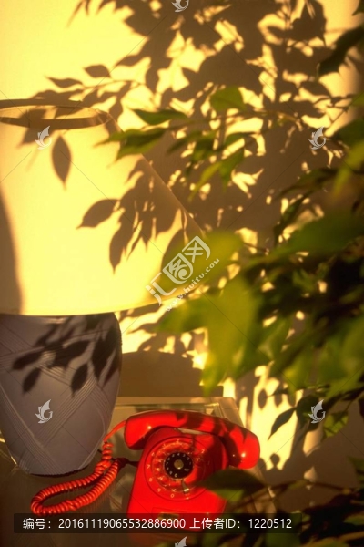 文章的美