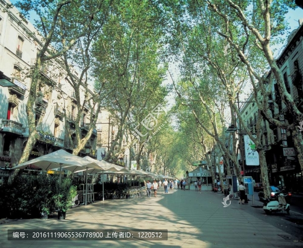 去西班牙旅行