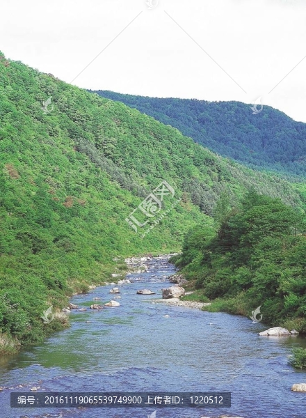 春天的素描-匯圖網(wǎng) www.fosd68.com 春天的素描