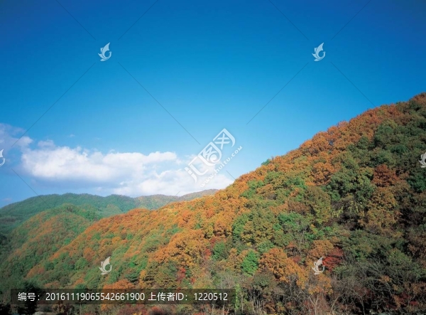 山全景