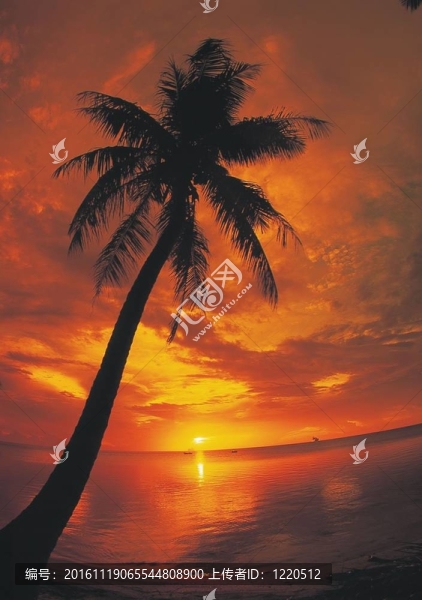 夏天的素描