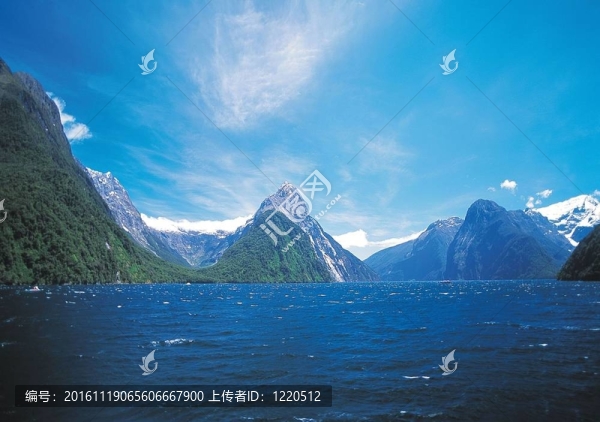 夏天的素描