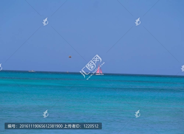 夏天的素描
